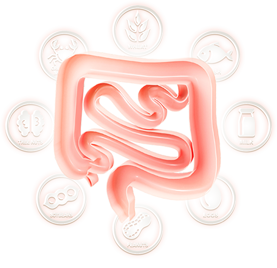 Medical Diagnostic Laboratories